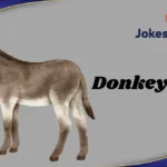 Donkey Puns