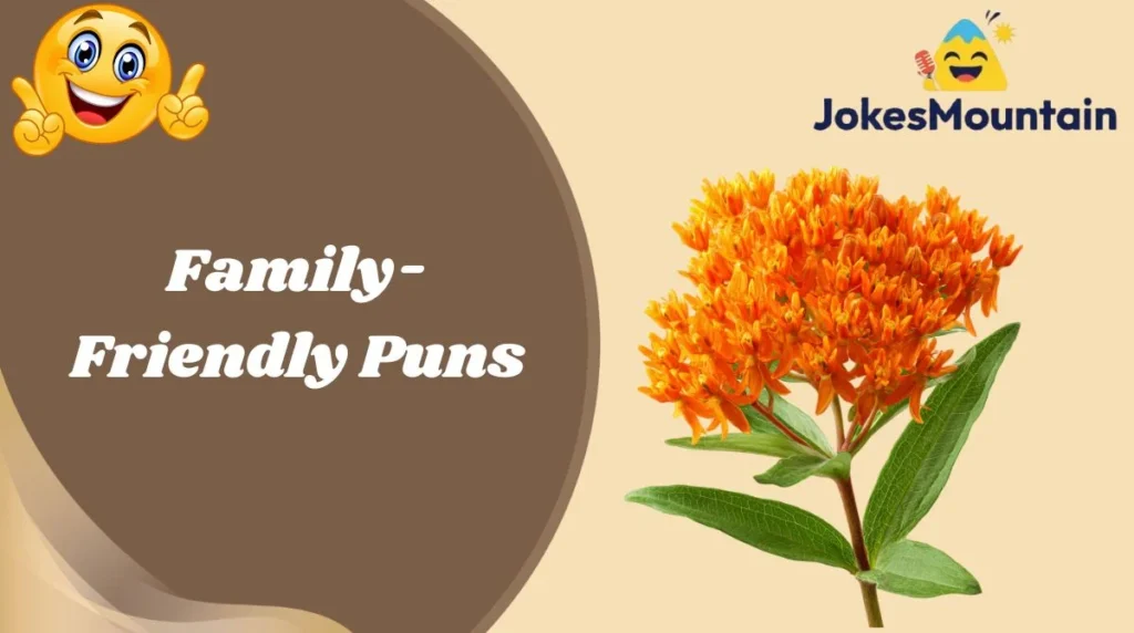 Family-Friendly Turkey