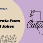 California Puns and Jokes
