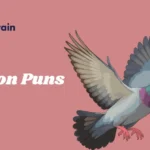 Pigeon Puns